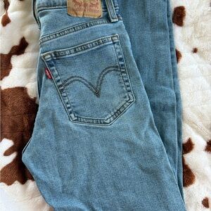 Levi's Women's Light Blue Wedgie Straight Jeans